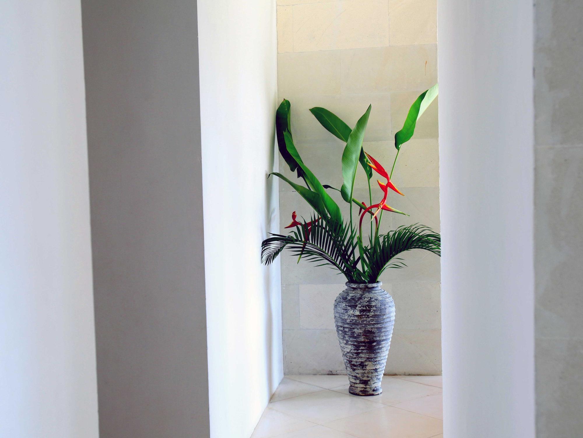 Jeda Villa Modern Stylish Luxury Villa Pemuteran Εξωτερικό φωτογραφία